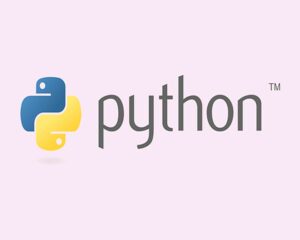 Python Programming Language