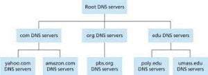 Root DNS Server